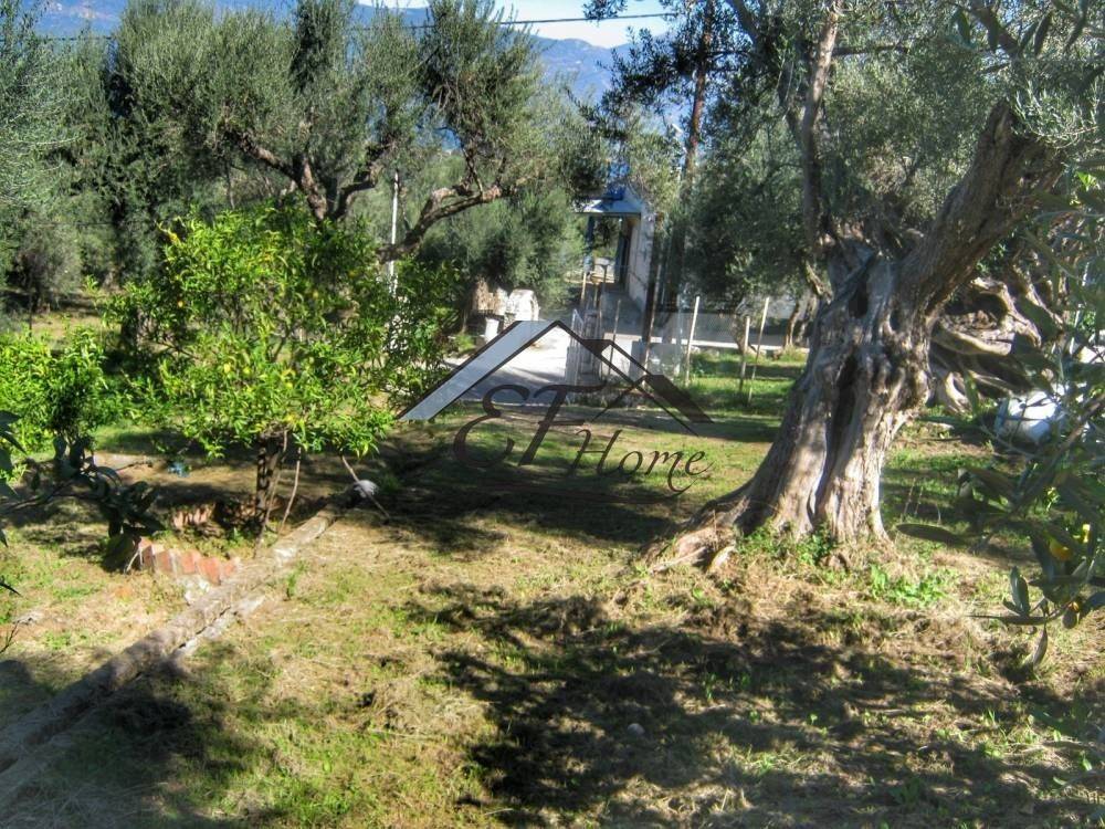 Άποψη οικοπέδου