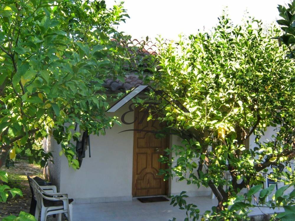 Άποψη οικοπέδου