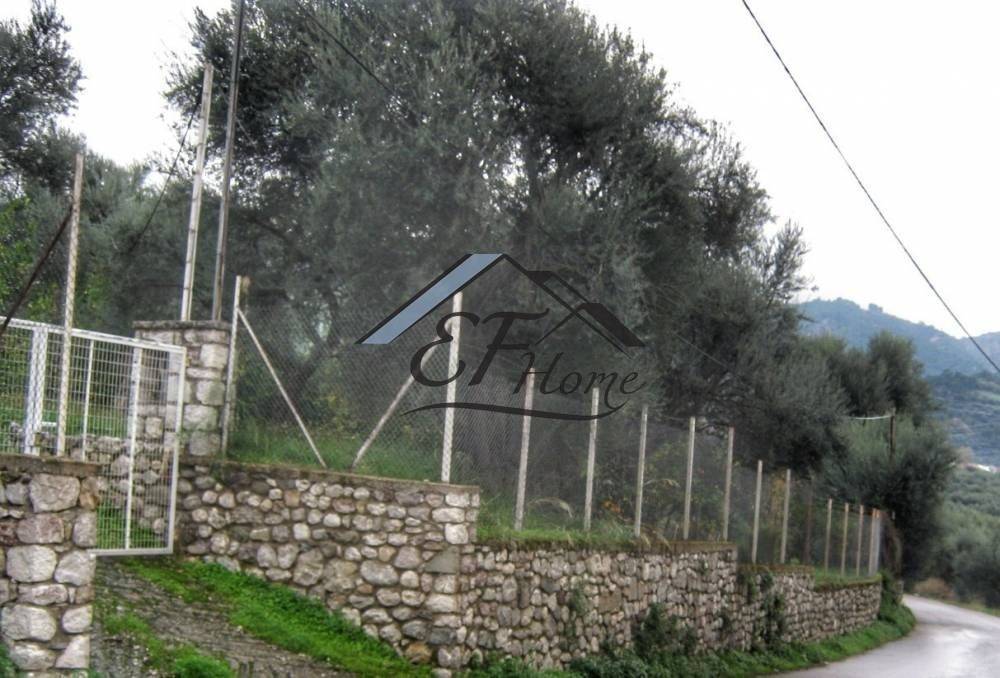 Άποψη οικοπέδου