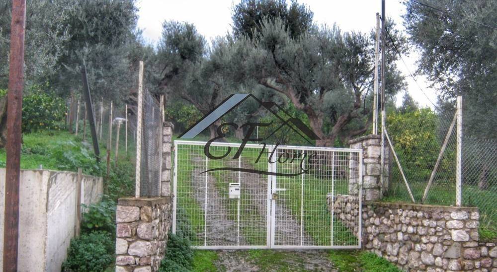 Άποψη οικοπέδου