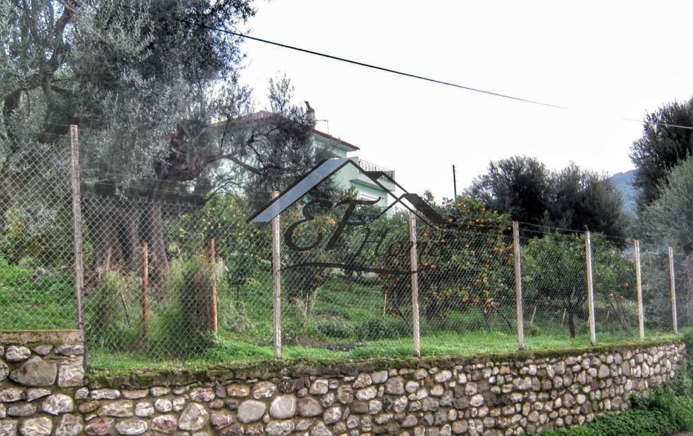 Άποψη οικοπέδου