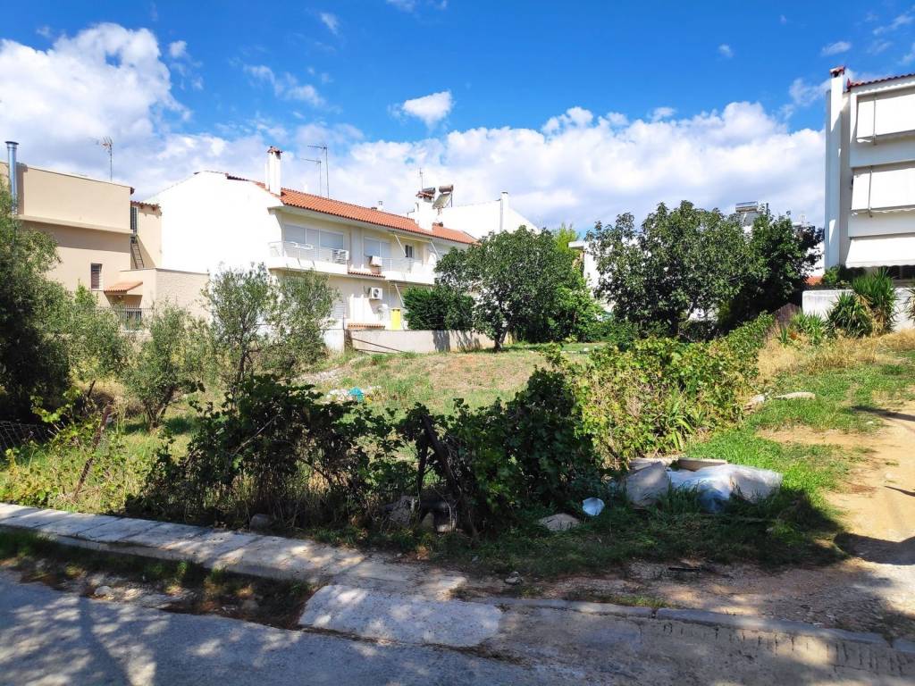 Εξωτερικοι χώροι