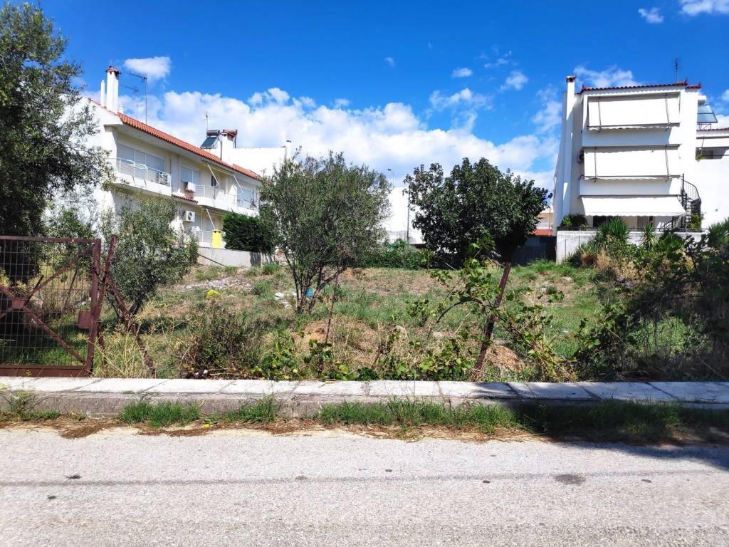 Εξωτερικοι χώροι