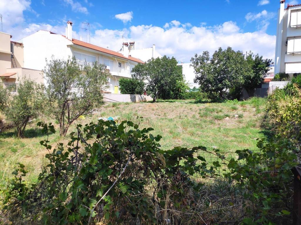 Εξωτερικοι χώροι