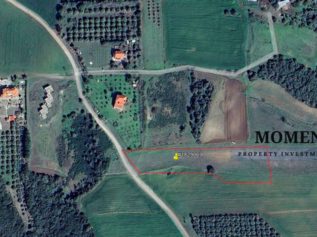 Εξωτερικοι χώροι