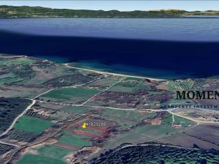 Εξωτερικοι χώροι