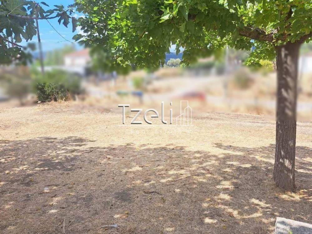 Εξωτερική άποψη χώρου