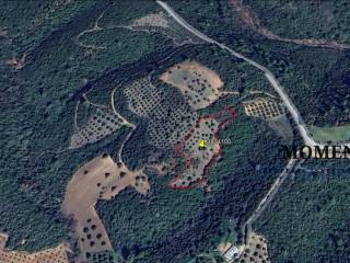 Εξωτερικοι χώροι