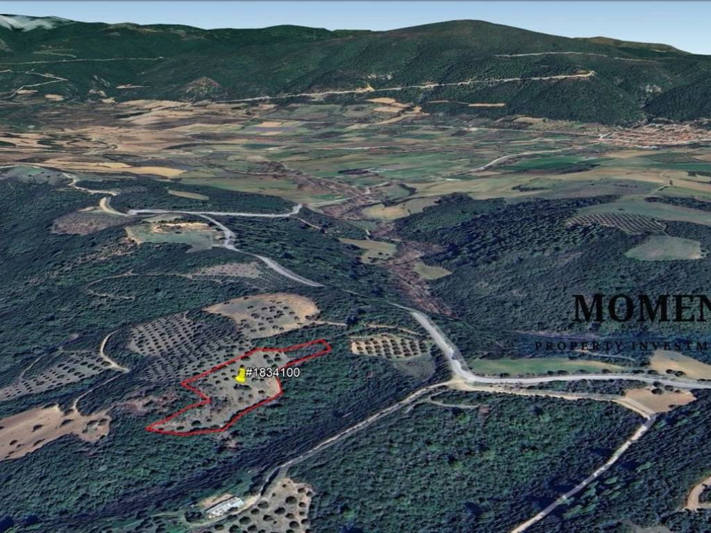 Εξωτερικοι χώροι