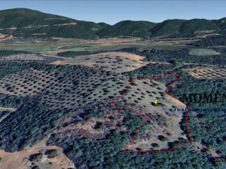 Εξωτερικοι χώροι