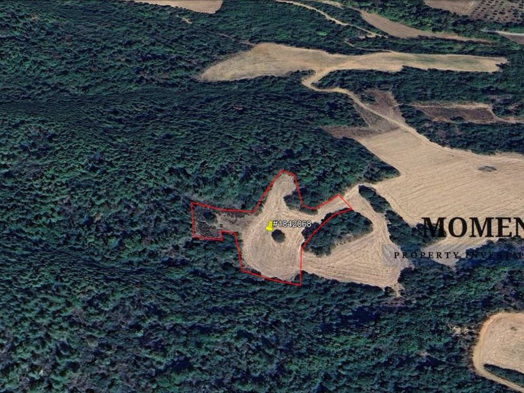 Εξωτερικοι χώροι