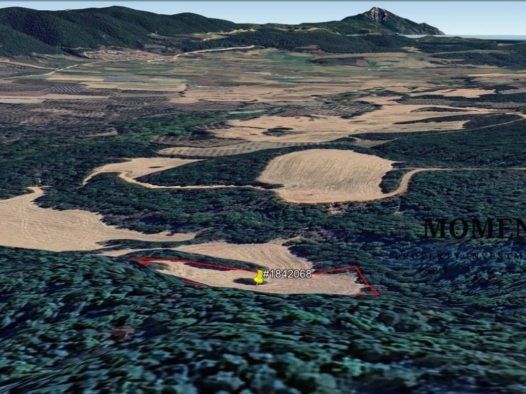 Εξωτερικοι χώροι