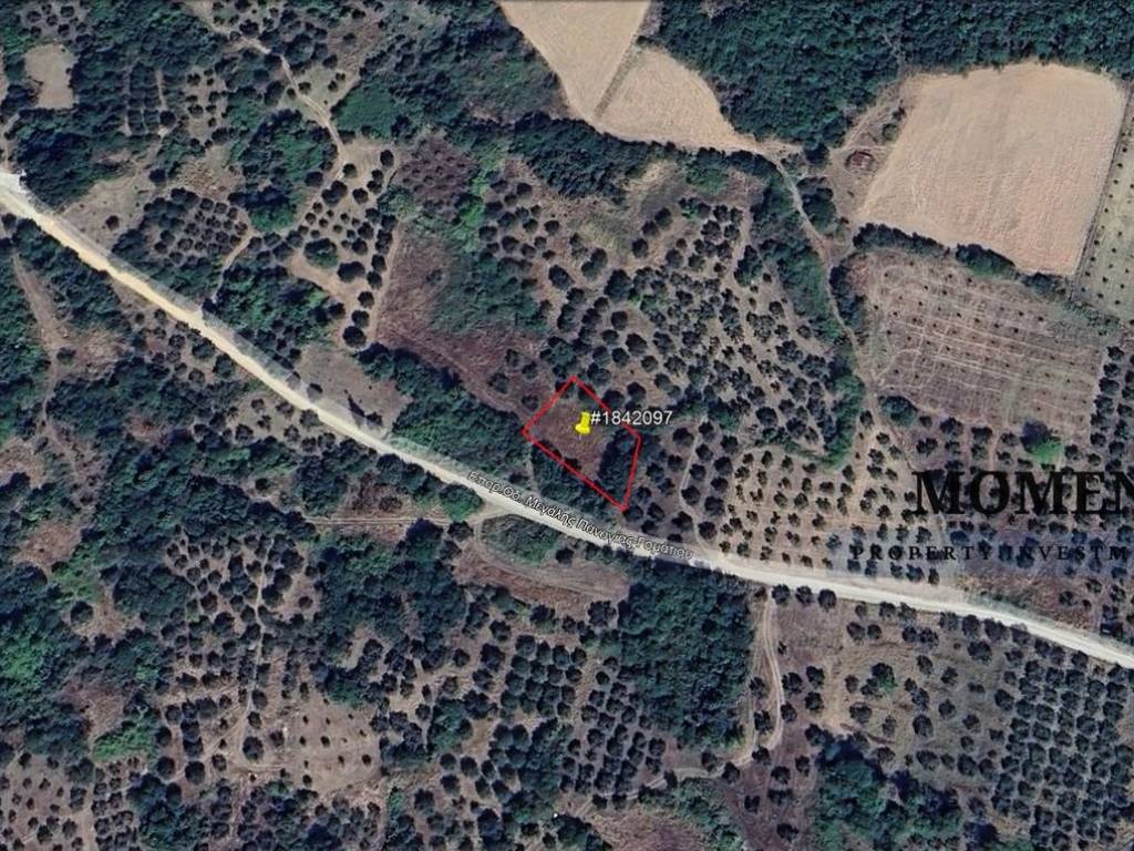 Εξωτερικοι χώροι