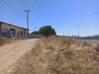 TMEMA TOY KTERIOY KAI TOY AGROTEMACHIOY