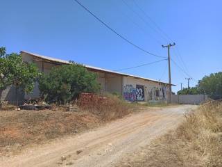 TMEMA TOY KTERIOY KAI TOY AGROTEMACHIOY