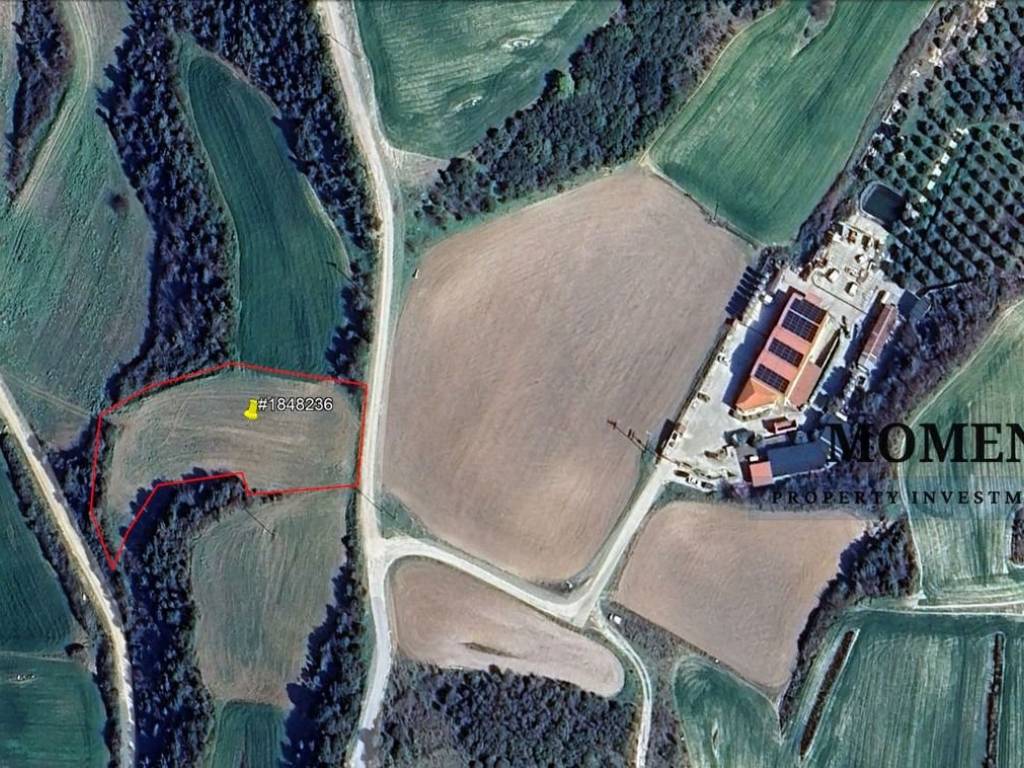 Εξωτερικοι χώροι