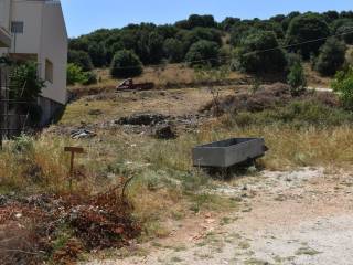 ΑΠΟΨΗ ΟΙΚΟΠΕΔΟΥ