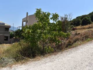 ΑΠΟΨΗ ΟΙΚΟΠΕΔΟΥ