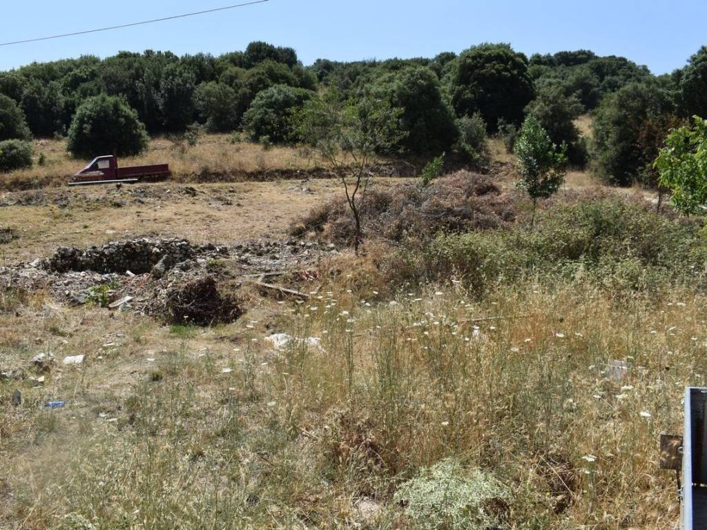 ΑΠΟΨΗ ΟΙΚΟΠΕΔΟΥ