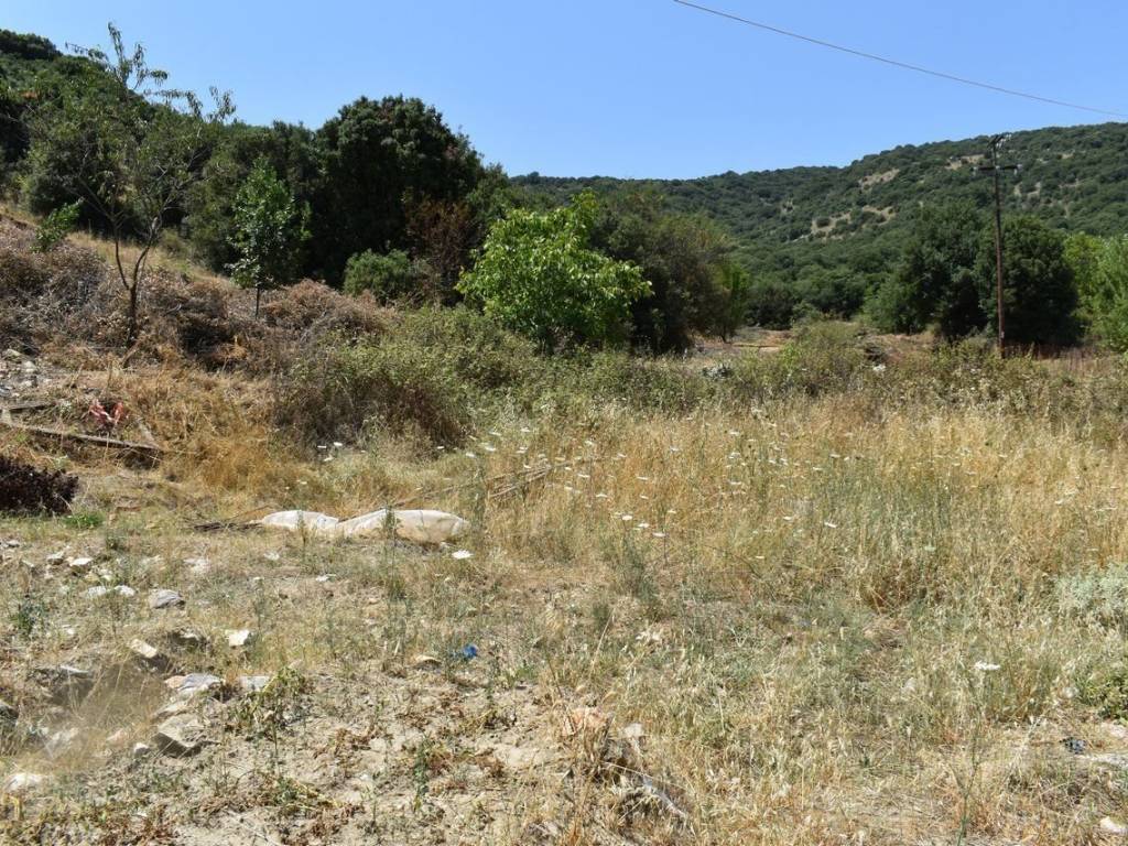 ΑΠΟΨΗ ΟΙΚΟΠΕΔΟΥ