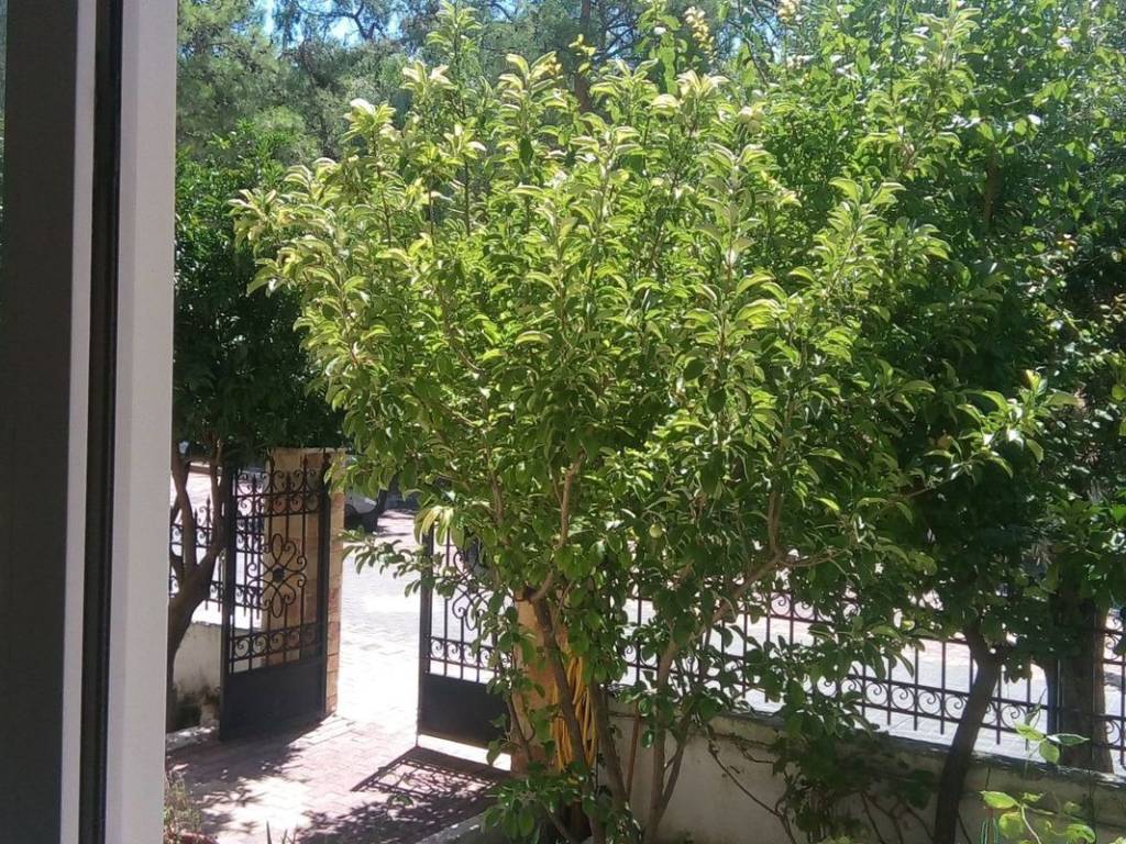 Εξωτερικοι χώροι