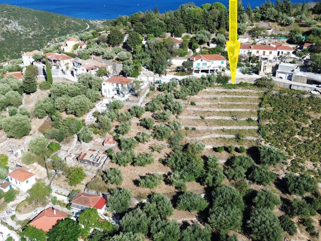 Aerial view of the area