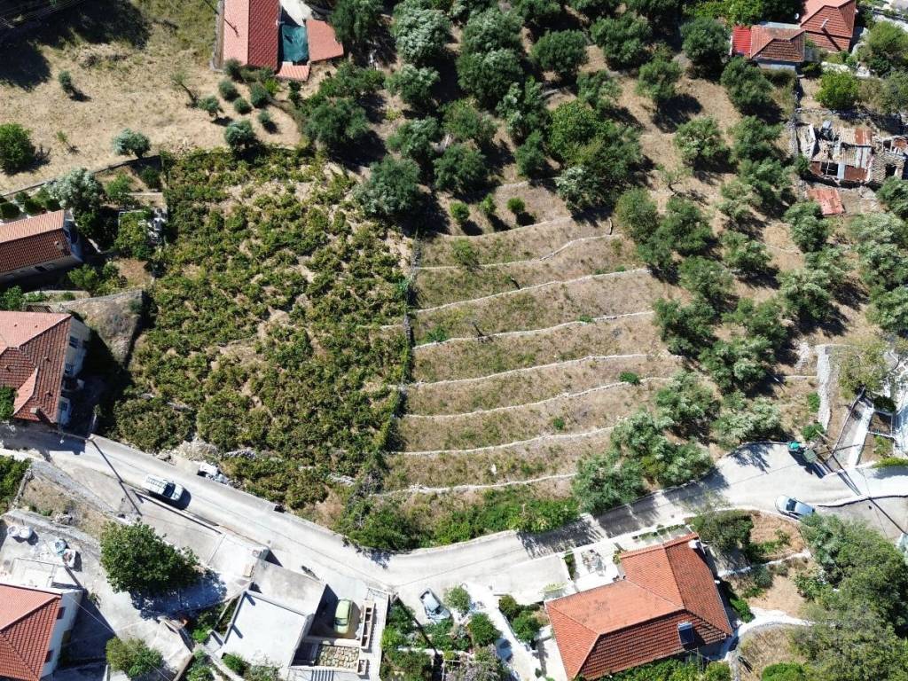 Aerial view of the land