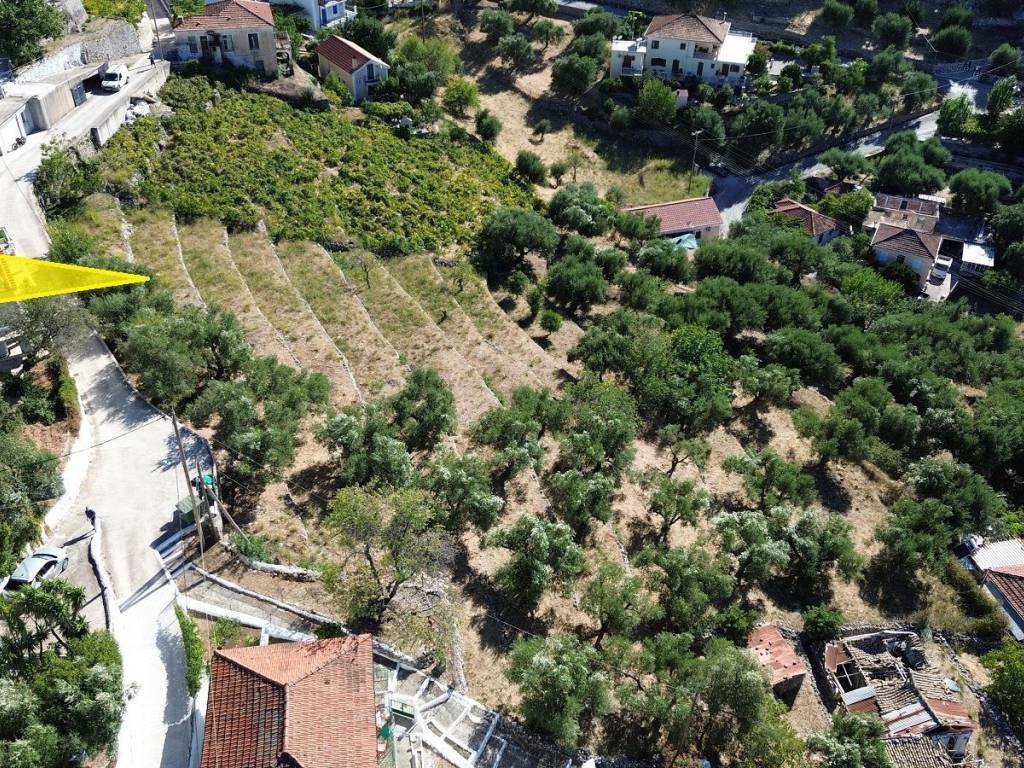 Aerial view of the land