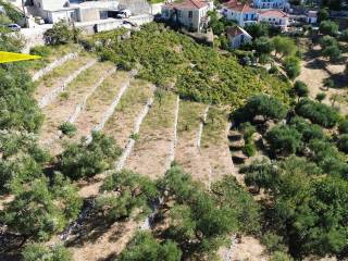 Aerial view of the land