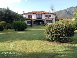 Forumland Real Estate, Εξωτερική Όψη