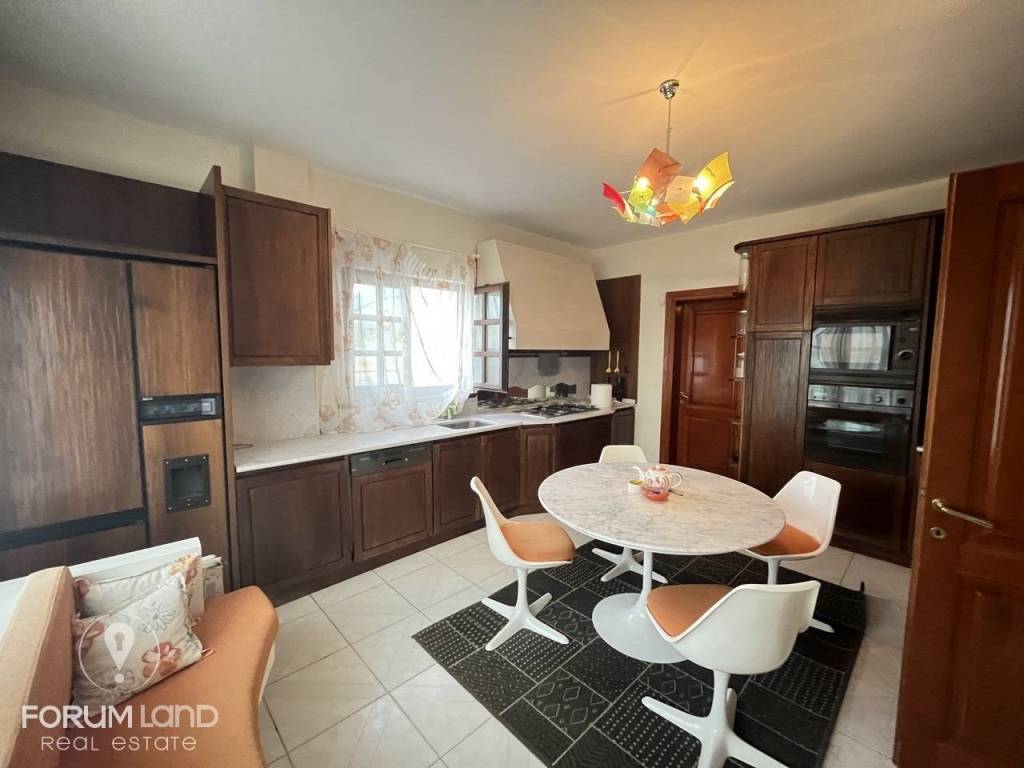 Forumland Real Estate, Koyzina