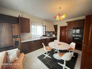 Forumland Real Estate, Koyzina