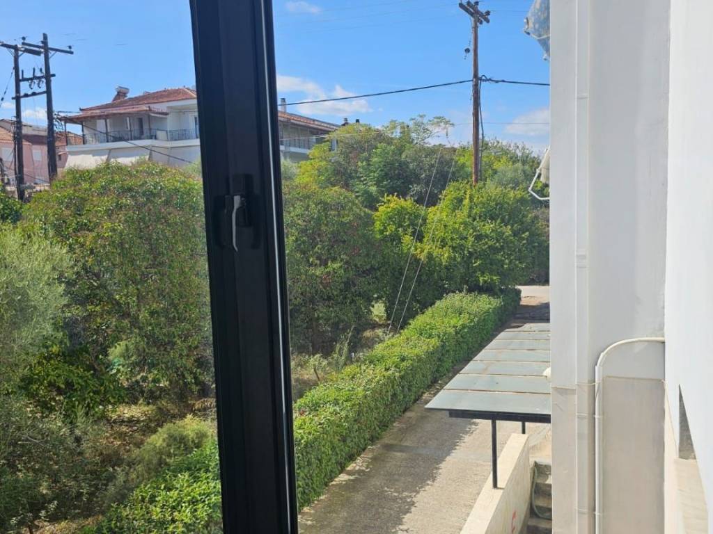 new large and comfortable elevated 1st floor apartment