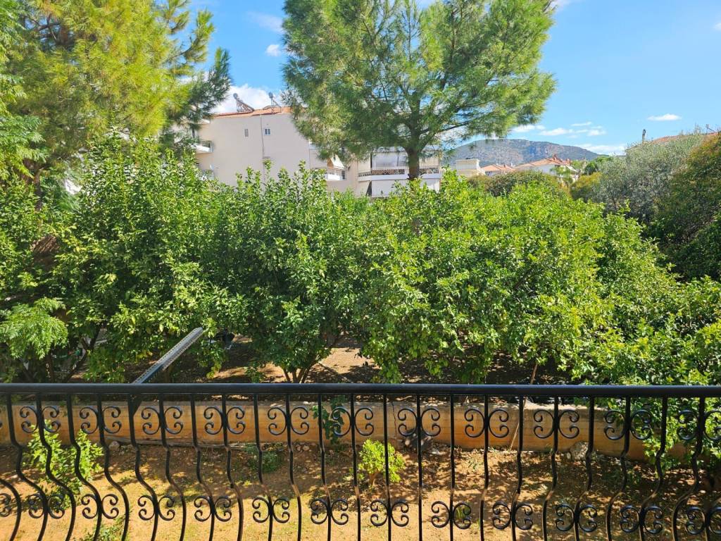 new large and comfortable elevated 1st floor apartment