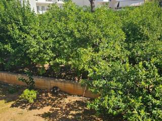 new large and comfortable elevated 1st floor apartment