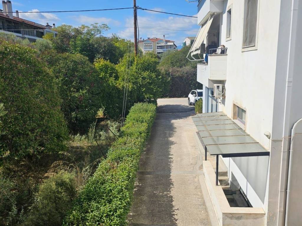 new large and comfortable elevated 1st floor apartment