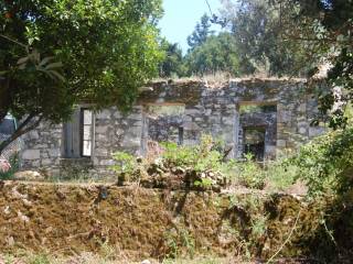 Ruin on the property
