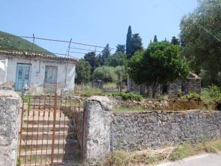 Road view of the property