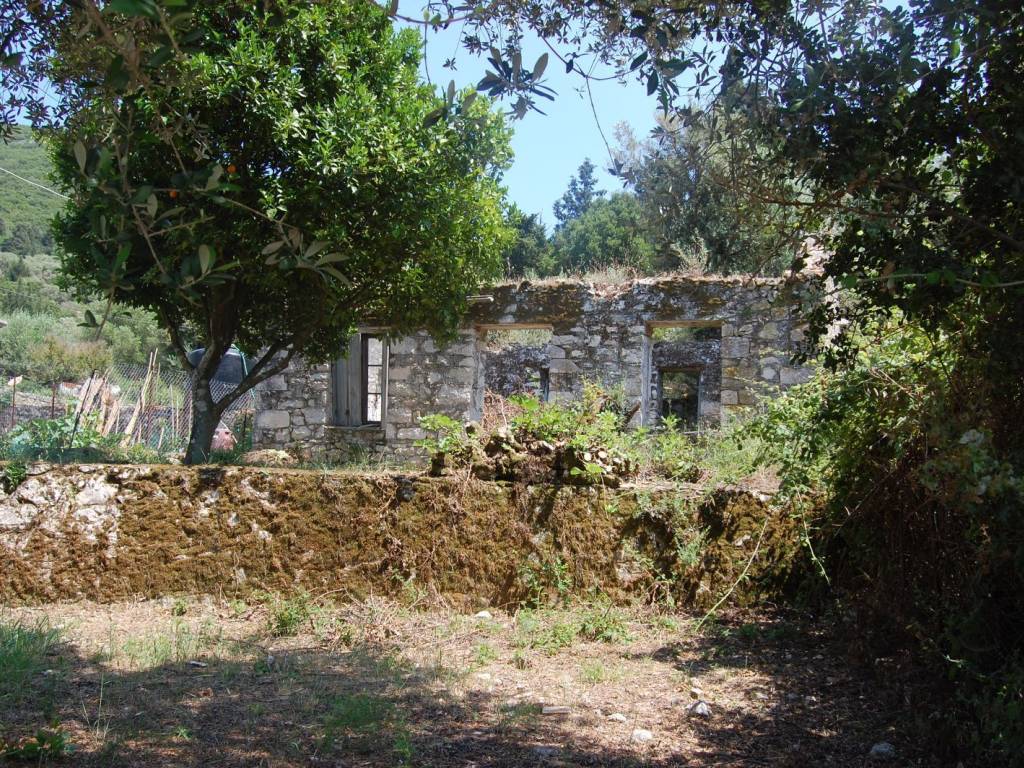 Ruin on the property