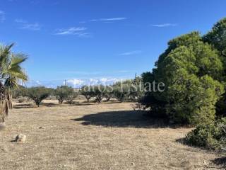 Αγροτεμάχιο