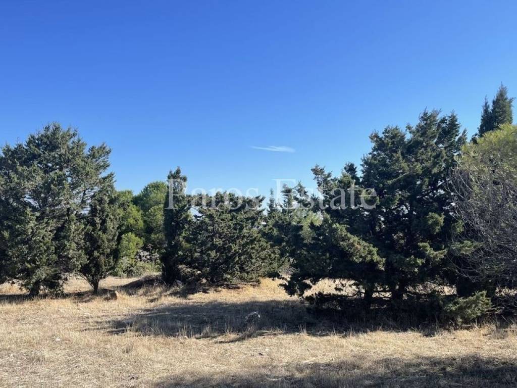 Αγροτεμάχιο