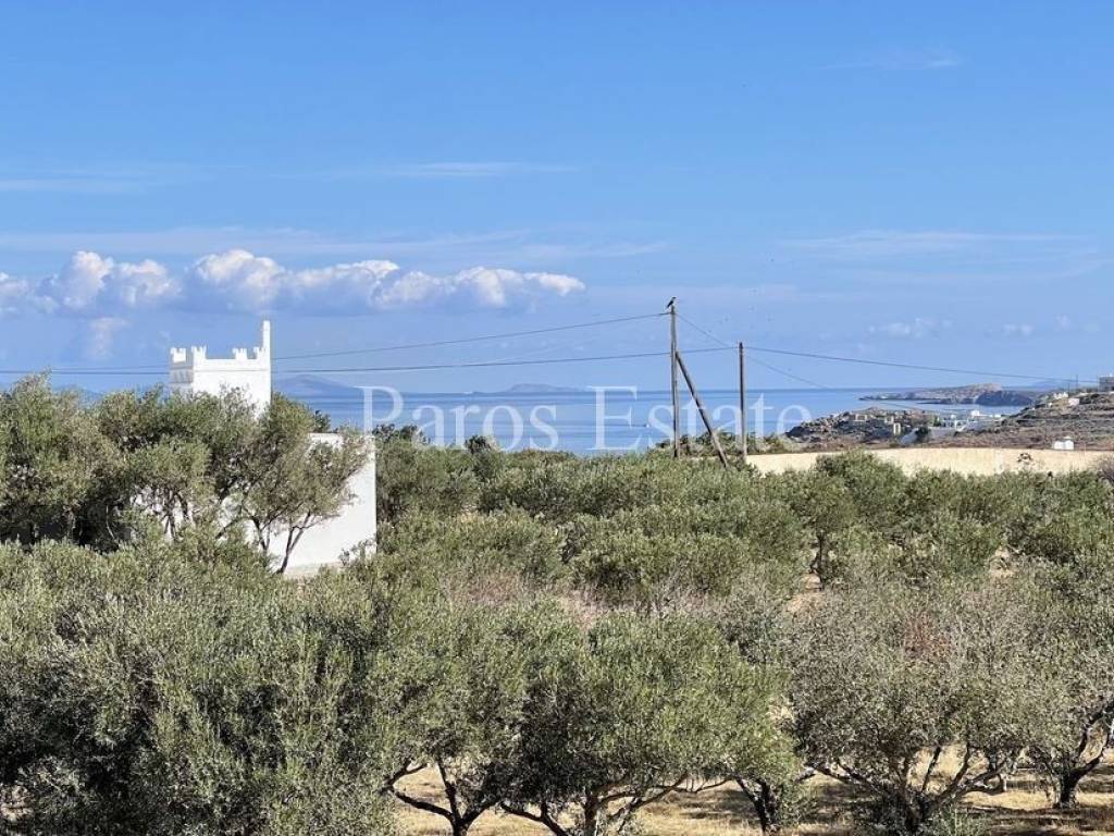 Αγροτεμάχιο