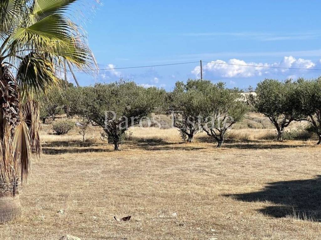 Αγροτεμάχιο