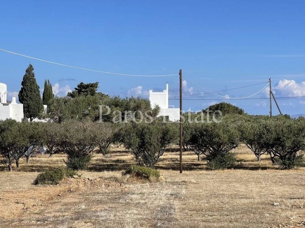 Αγροτεμάχιο