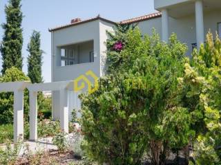 Exterior of the house