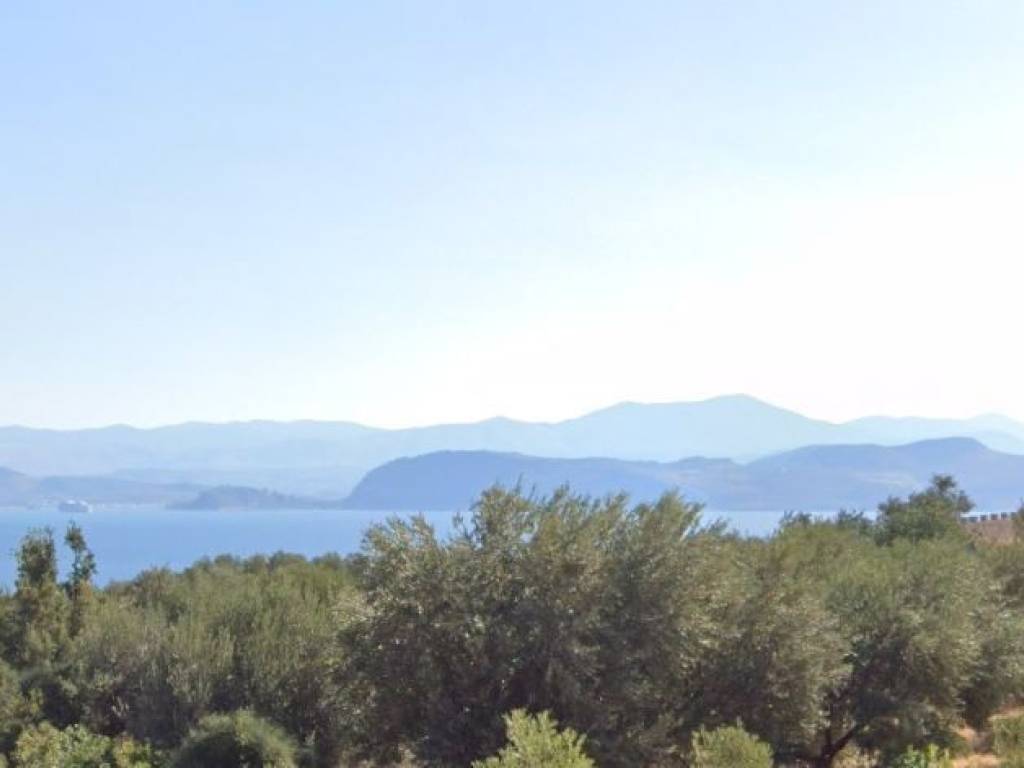 Unique plot, even and buildable