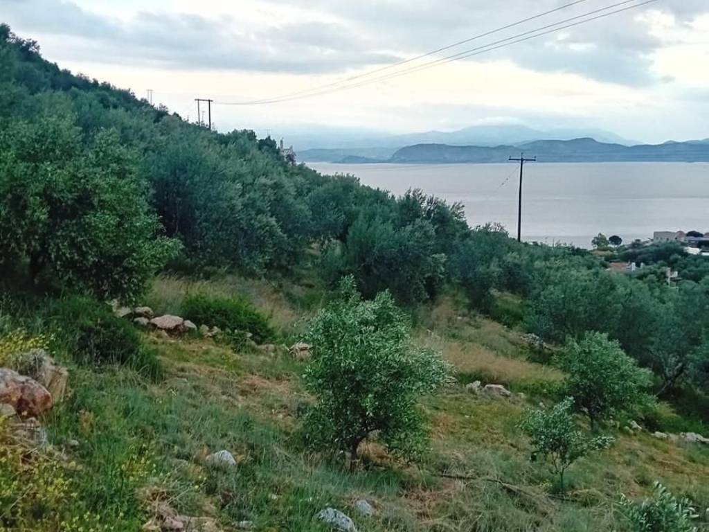 Unique plot, even and buildable