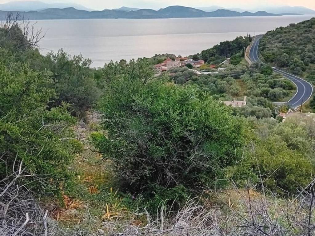 Unique plot, even and buildable