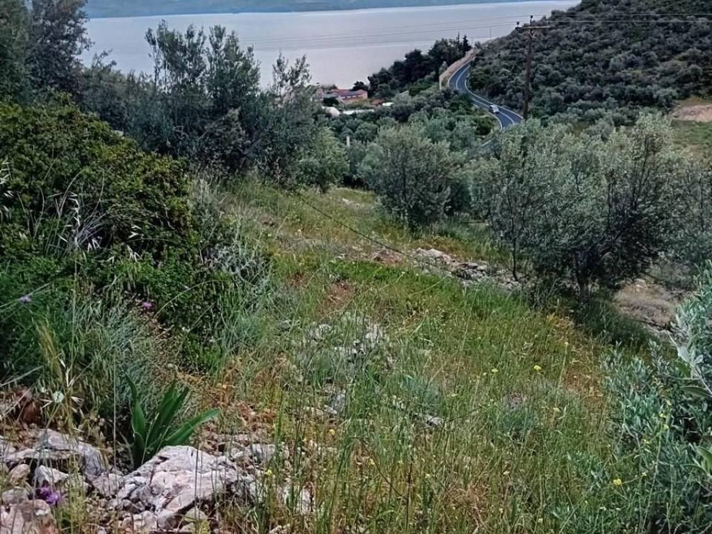 Unique plot, even and buildable