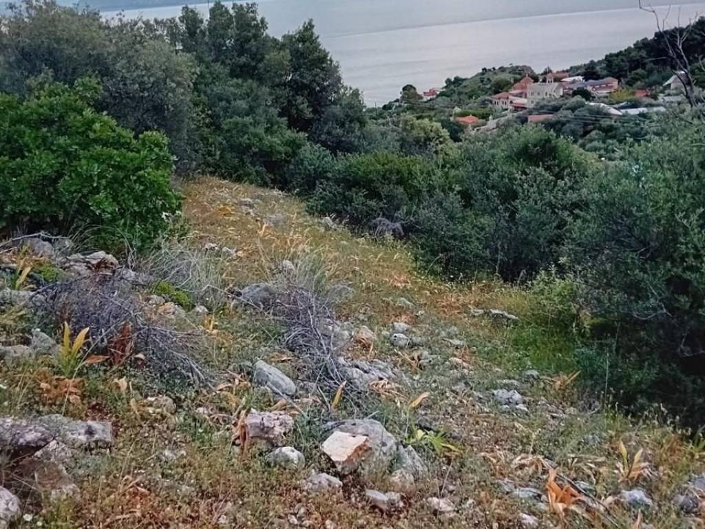 Unique plot, even and buildable